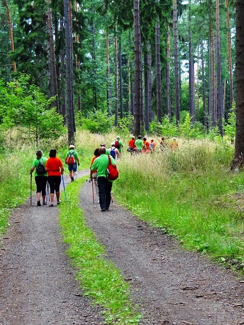 park-w-bukowcu-zdobyty-podczas-spaceru-z-kijkami-foto-53151
