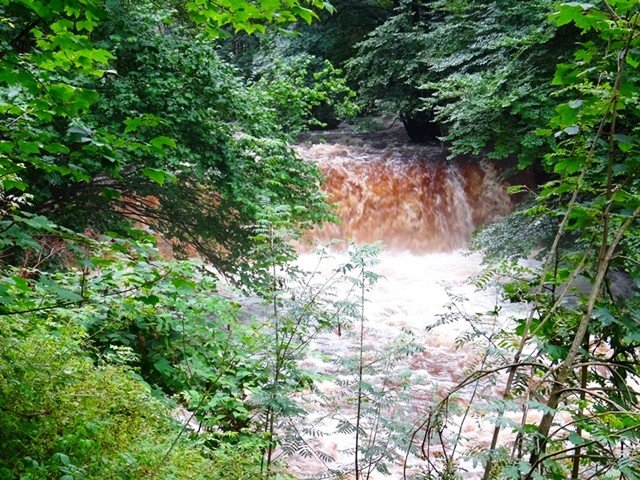 ulewa-narobia-szkod-foto-53157