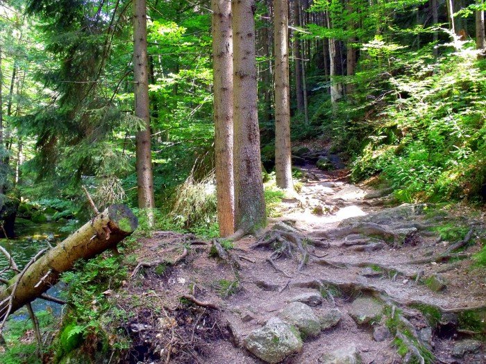 to-warto-zobaczyc-jodowa-dolina-i-jej-wodospady-foto-53213