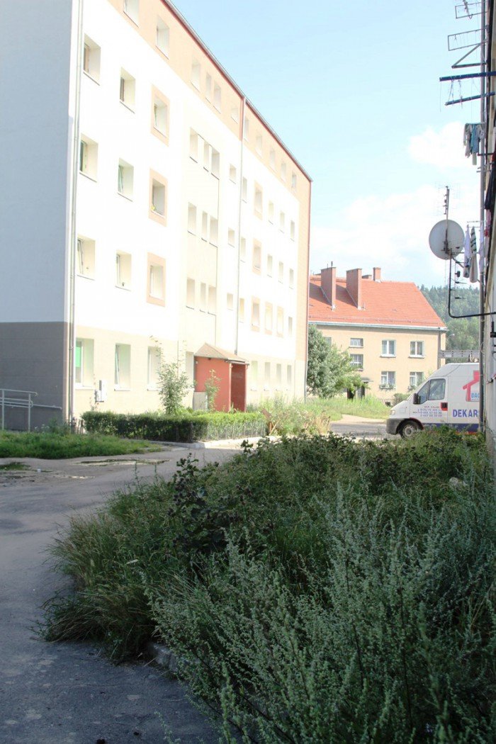 potrzebne-lampy-i-kamery-na-wyczokowskiego-foto-53219