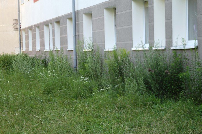 potrzebne-lampy-i-kamery-na-wyczokowskiego-foto-53219