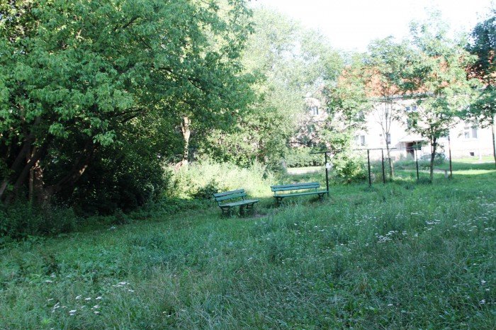 potrzebne-lampy-i-kamery-na-wyczokowskiego-foto-53219