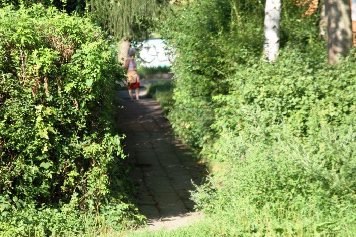 potrzebne-lampy-i-kamery-na-wyczokowskiego-foto-53219
