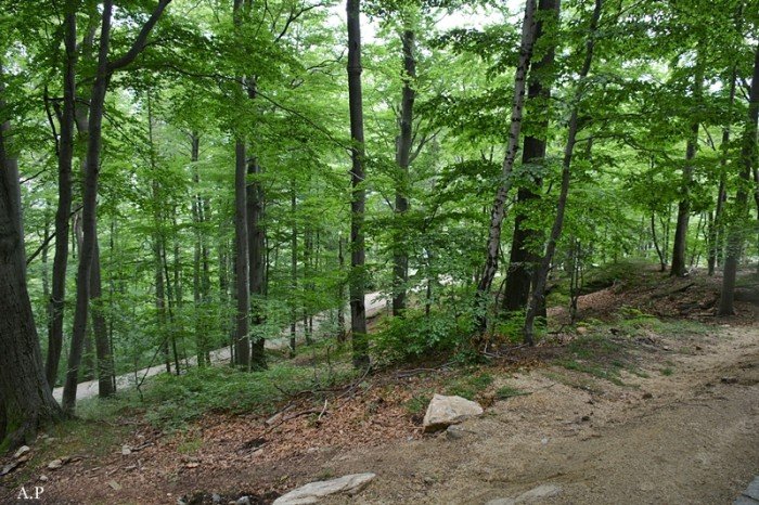 na-finiszu-remont-szlakow-nie-tylko-na-chojnik-foto-53257