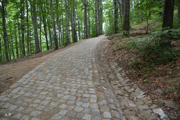 na-finiszu-remont-szlakow-nie-tylko-na-chojnik-foto-53257