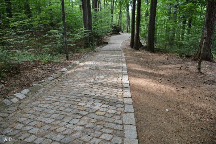 na-finiszu-remont-szlakow-nie-tylko-na-chojnik-foto-53257