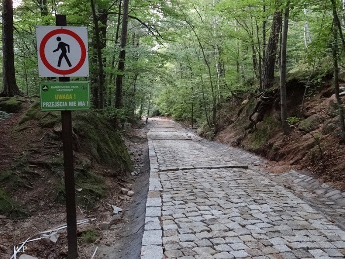 na-finiszu-remont-szlakow-nie-tylko-na-chojnik-foto-53257