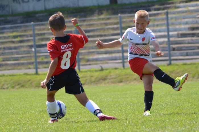 triumf-chojnika-w-swidnicy-foto-53298