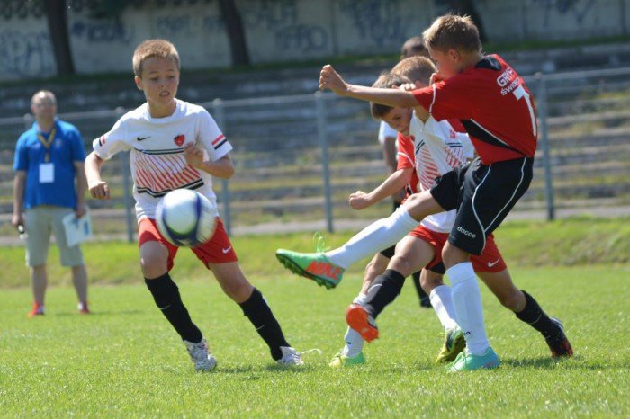 triumf-chojnika-w-swidnicy-foto-53298