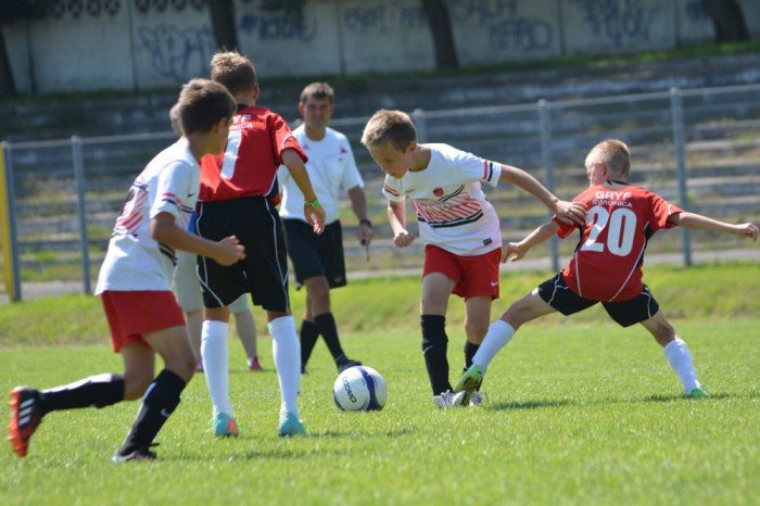 triumf-chojnika-w-swidnicy-foto-53298