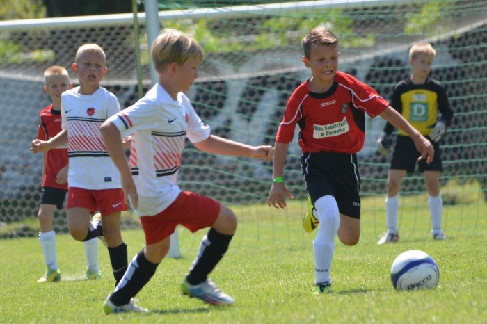 triumf-chojnika-w-swidnicy-foto-53298