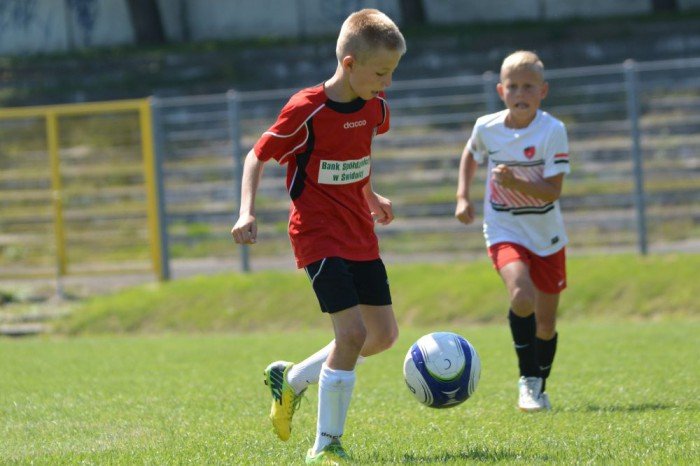 triumf-chojnika-w-swidnicy-foto-53298