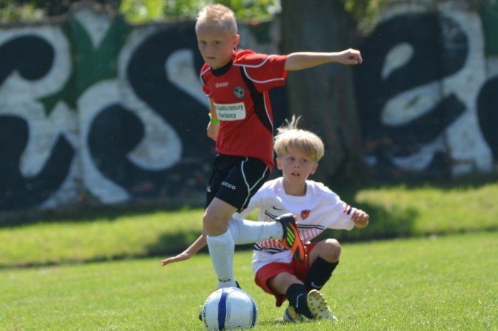triumf-chojnika-w-swidnicy-foto-53298