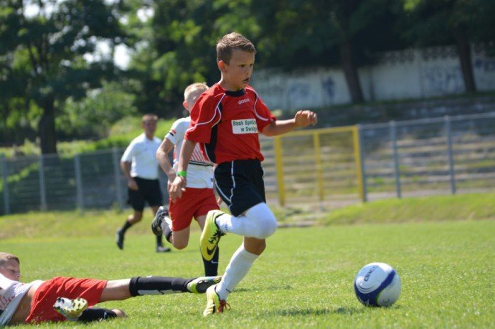triumf-chojnika-w-swidnicy-foto-53298