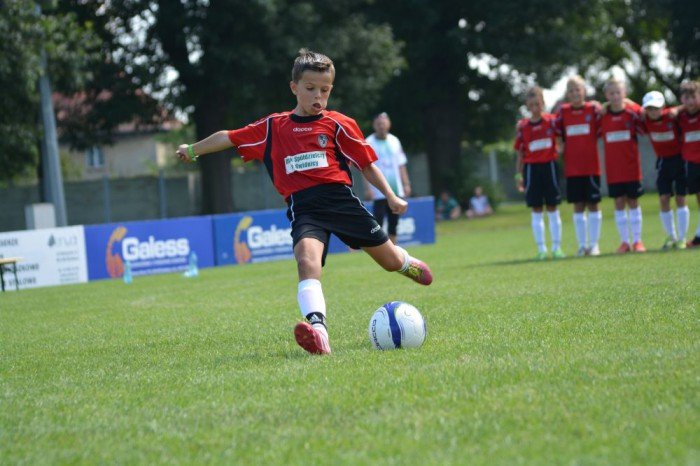 triumf-chojnika-w-swidnicy-foto-53298