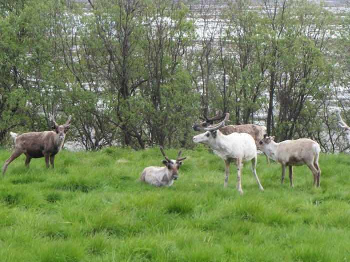 damian-drobyk-przemierzy-rowerem-skandynawie-foto-53377