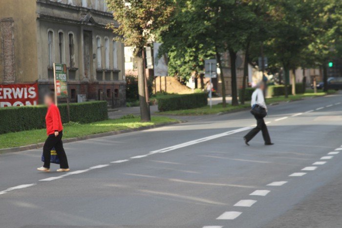 wydzia-ochrony-srodowiska-wstrzyma-budowe-przejscia-53410