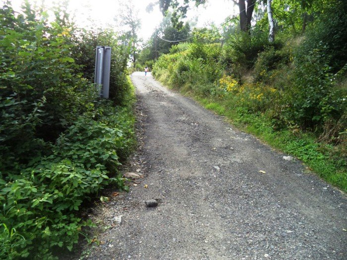 czytelnik-droga-na-osiedlu-klimczoka-dla-wybranych-foto-53501