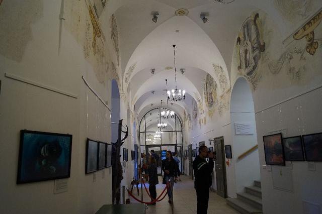 dziko-w-muzeum-przyrodniczym-foto-53644