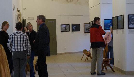 dziko-w-muzeum-przyrodniczym-foto-53644