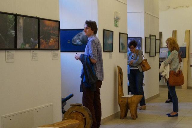 dziko-w-muzeum-przyrodniczym-foto-53644