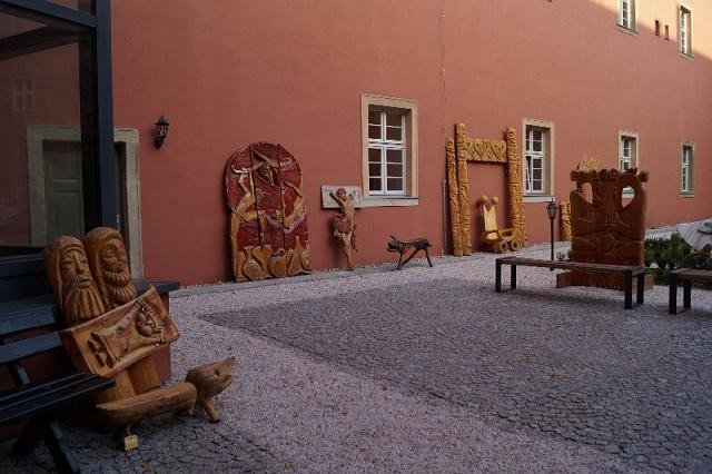 dziko-w-muzeum-przyrodniczym-foto-53644