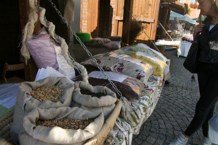 produkty-spod-sniezki-piekne-i-smaczne-foto-53652