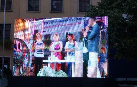 czytali-trylogie-sienkiewicza-w-strugach-deszczu-foto-53665