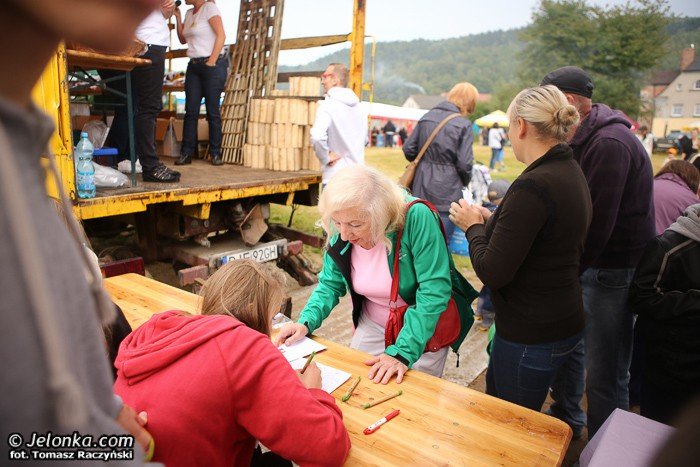 wnioski-po-festynie-goduszyn-rozkwita-foto-53666