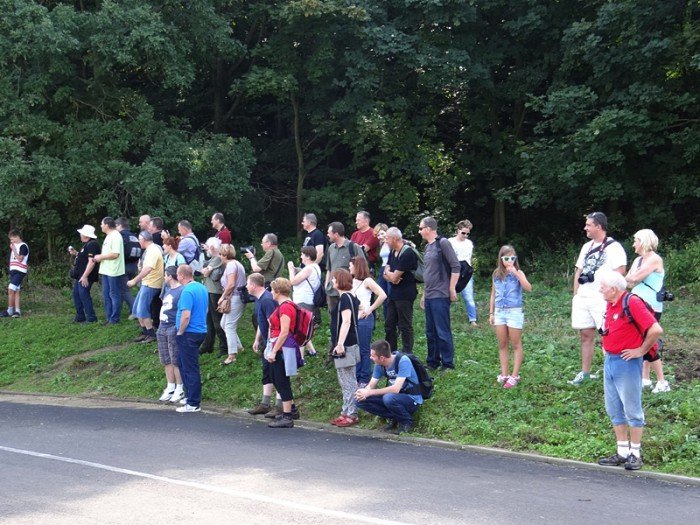 niezwyke-emocje-podczas-mistrzostw-na-nartorolkach-foto-53695