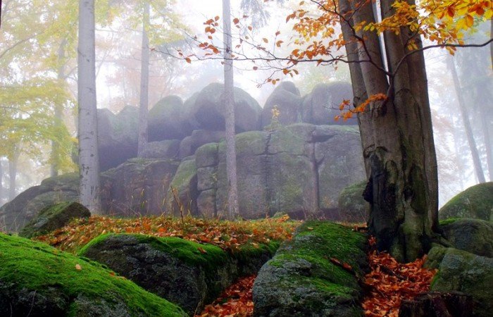 na-co-pieniadze-z-budzetu-obywatelskiego-foto-53782