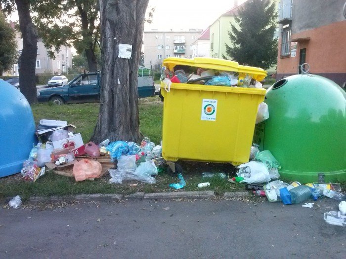 czytelnik-kto-i-kiedy-to-posprzata-foto-53820