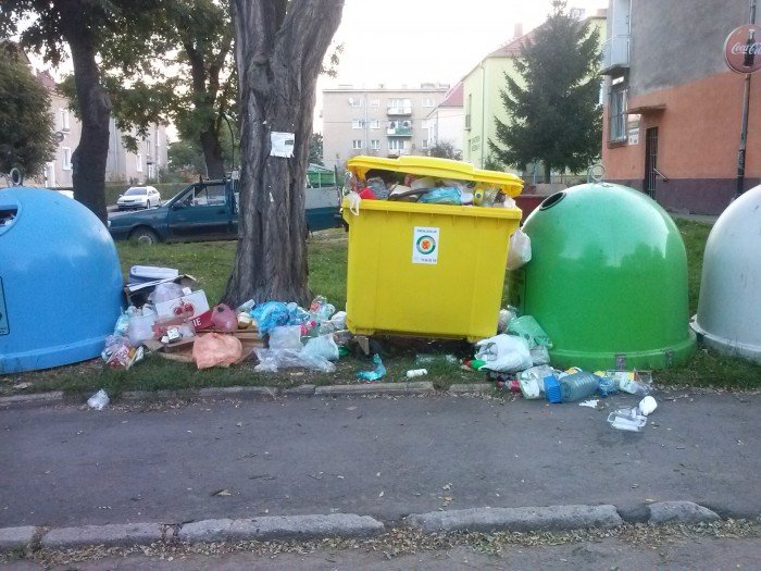 czytelnik-kto-i-kiedy-to-posprzata-foto-53820