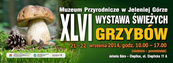 wystawa-swiezych-grzybow-w-muzeum-przyrodniczym-53851