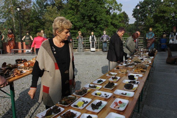 lesne-bogactwo-w-dawnym-klasztorze-cystersow-foto-53863