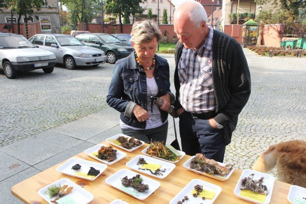 lesne-bogactwo-w-dawnym-klasztorze-cystersow-foto-53863