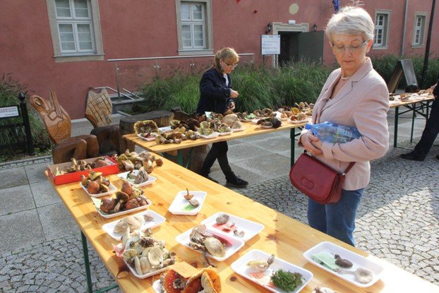 lesne-bogactwo-w-dawnym-klasztorze-cystersow-foto-53863