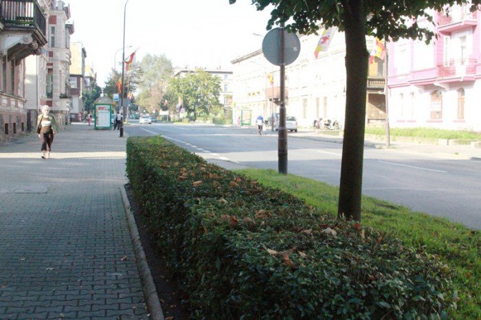 w-koncu-ogoszono-przetarg-na-przejscie-dla-pieszych-foto-53869