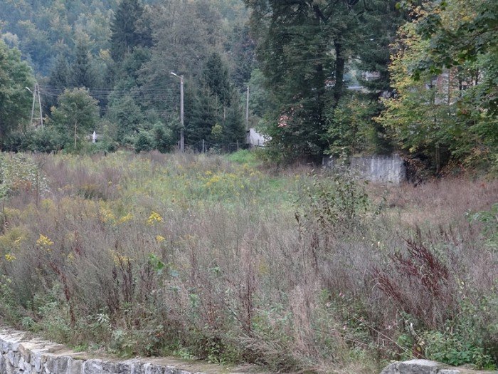 plac-zabaw-i-siownia-w-jagniatkowie-czy-to-sie-uda-foto-53908
