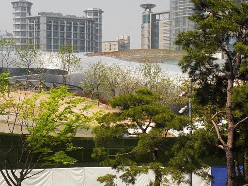 seoul-gangnam-style-w-muzeum-przyrodniczym-53955