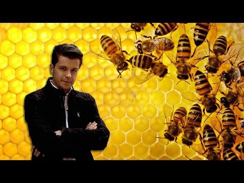 pobzykamy-54002