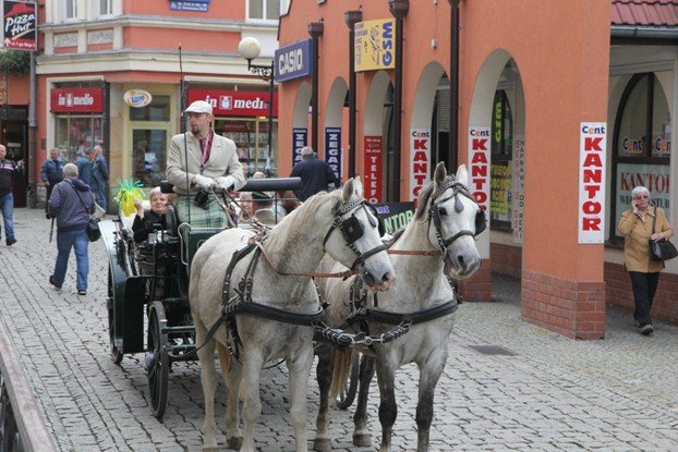 ruszyy-senioralia-barwnym-korowodem-foto-54007