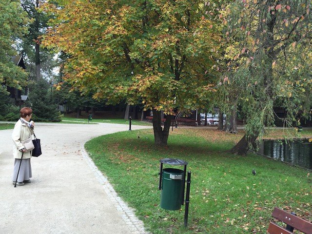 cieplicki-park-norweski-idzie-spac-foto-54044