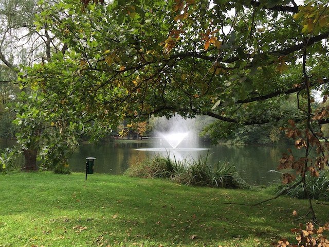 cieplicki-park-norweski-idzie-spac-foto-54044