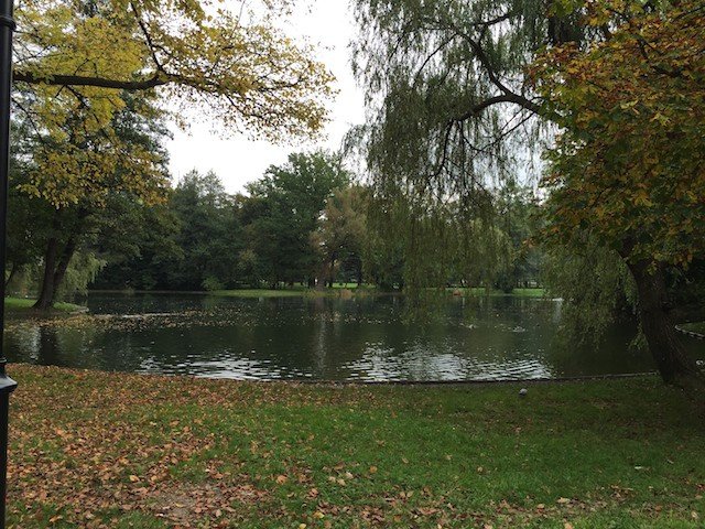cieplicki-park-norweski-idzie-spac-foto-54044