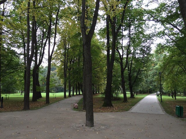 cieplicki-park-norweski-idzie-spac-foto-54044