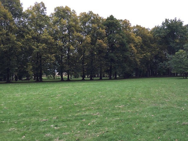cieplicki-park-norweski-idzie-spac-foto-54044