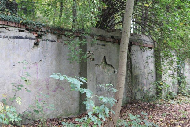 dzieje-parku-miejskiego-na-wzgorzu-kosciuszki-foto-54065