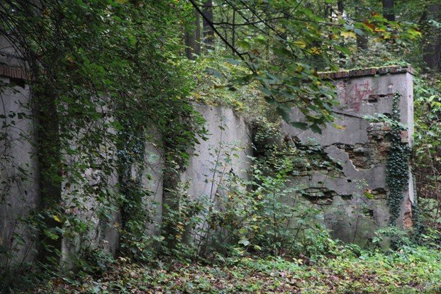 dzieje-parku-miejskiego-na-wzgorzu-kosciuszki-foto-54065