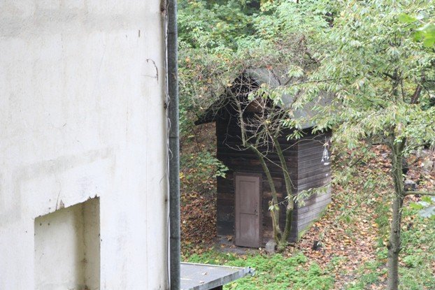 dzieje-parku-miejskiego-na-wzgorzu-kosciuszki-foto-54065